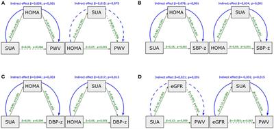 Uric acid and arterial stiffness in children and adolescents: Role of insulin resistance and blood pressure